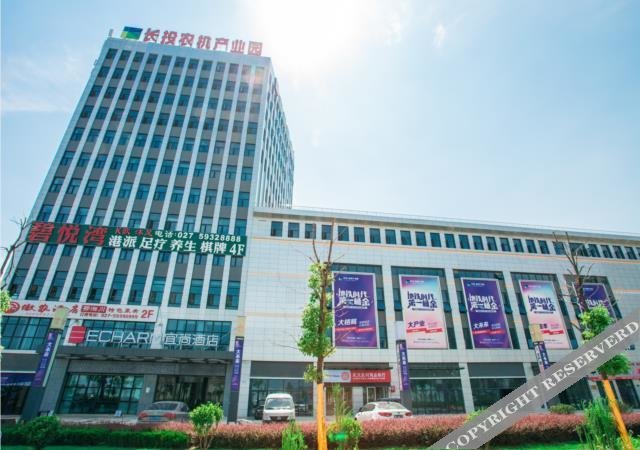 Yishang Hotel (Wuhan Wuhu Gaoche Metro Station) — фото 1