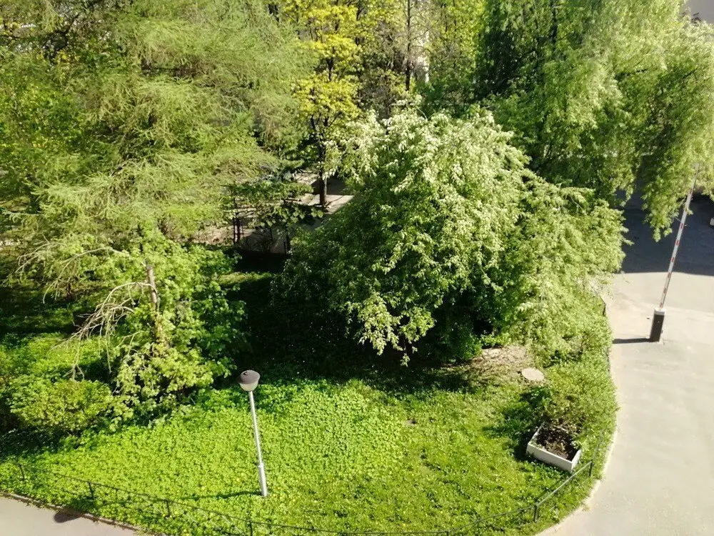 Санкт-Петербург: Hostel Your House