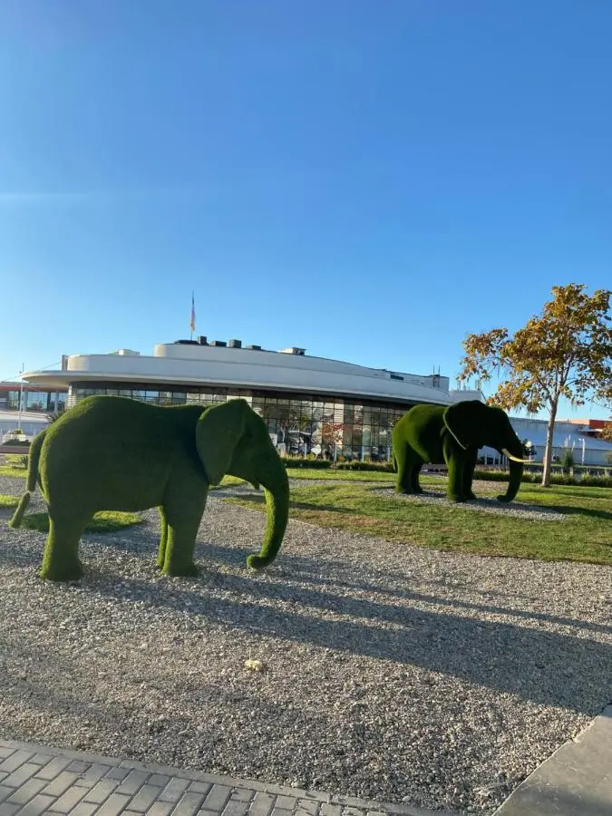 Красная Поляна: Olimpic Park Sochi