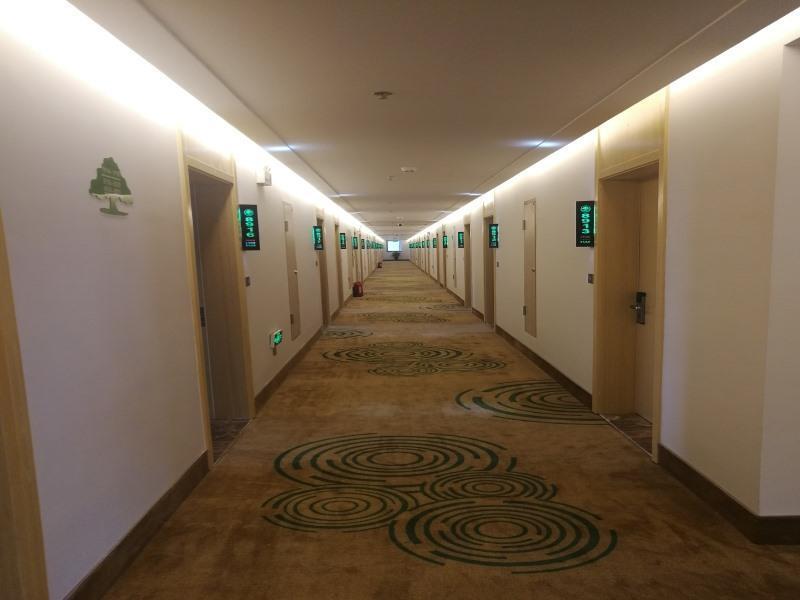 Чичжоу: GreenTree Inn Chizhou Shitai County Zhengwu New District