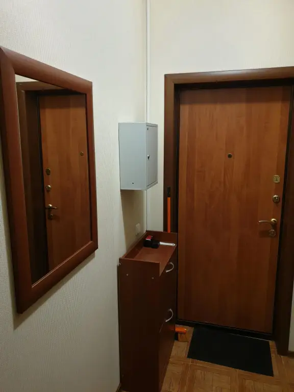 Санкт-Петербург: Квартира у метро Звездная