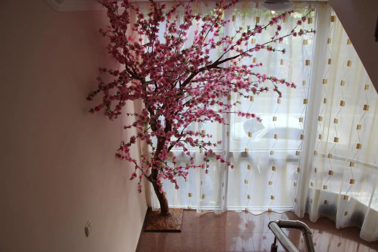 Сочи: Hotel Aquamarine