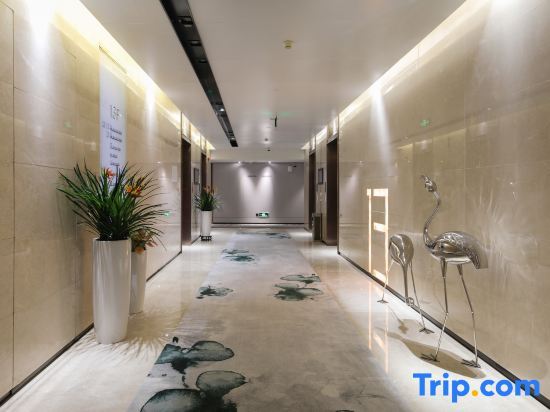 Шэньчжэнь: Shenzhen Apex Hotel (Technology Park Branch)