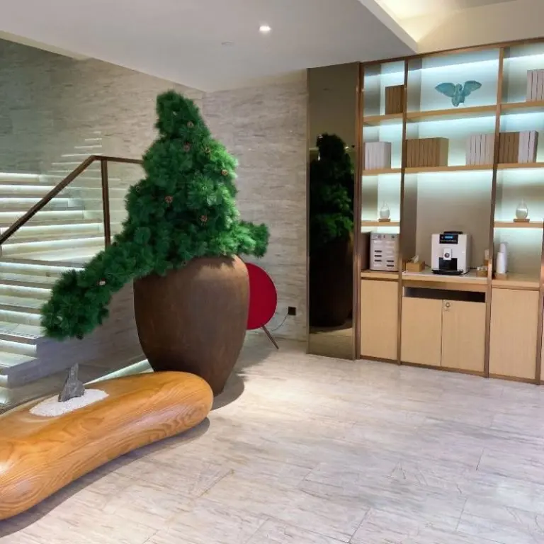 Шанхай: JI Hotel Shanghai World Expo Shangnan Road