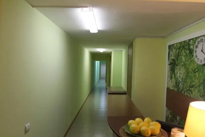 Пушкин: Lemon Hostel