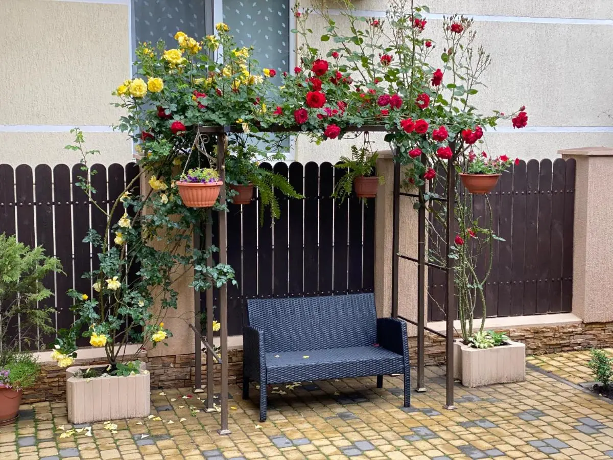 Дивноморское: Guest House Katerina