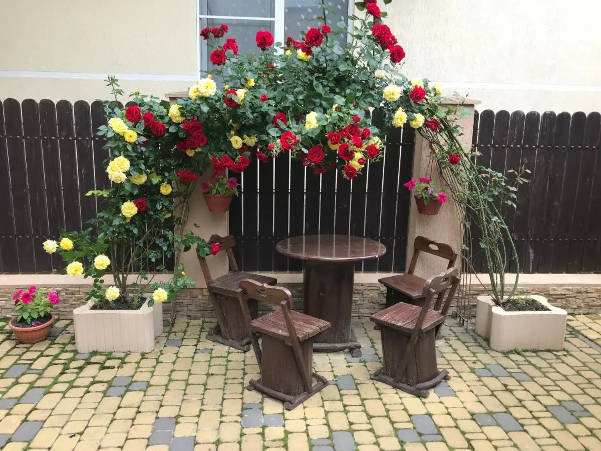 Дивноморское: Guest House Katerina