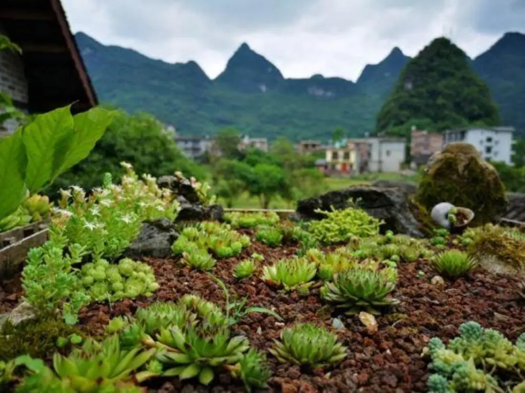 Яншо: YUNZHIHUI BOAI Healthy Boutique Hostel