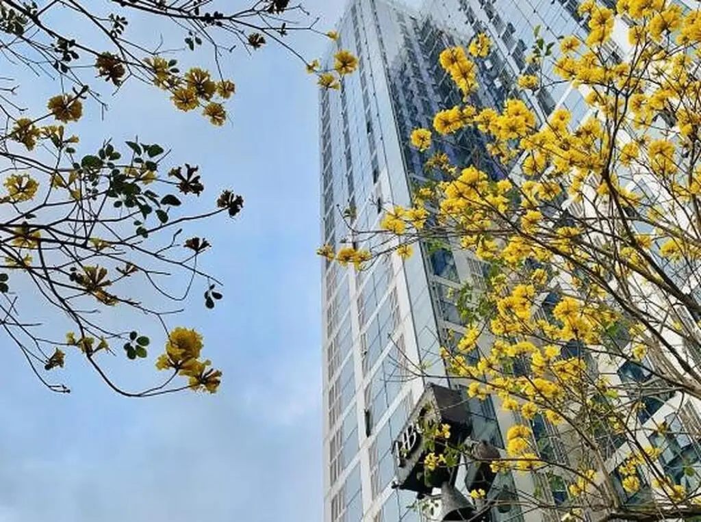 Шэньчжэнь: Shenzhen Zhenxin Luxury Apartment