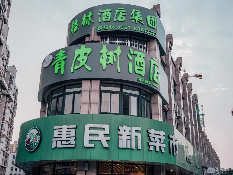 Vatica Hotel Chaohu Er Street Xiangyang Road City Yuefu Square — фото 1