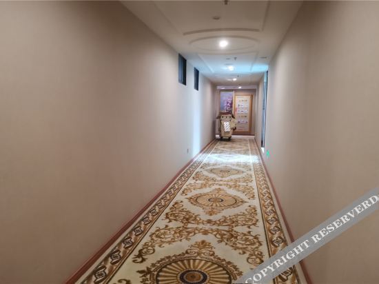 Наньчан: Vienna Hotel