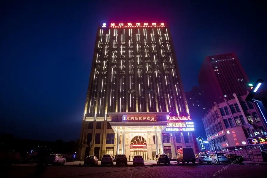 Venus International Hotel Hankou North Branch — фото 1
