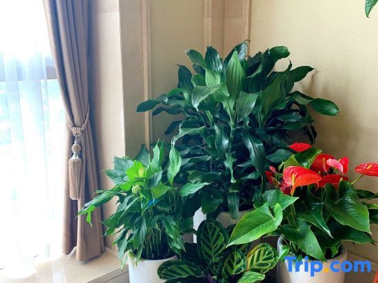 Хэфэй: Vienna International Hotel (Hefei Zhengwu New District Vientiane City)