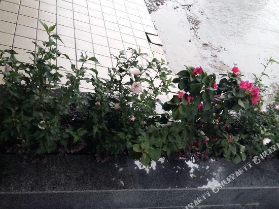 Фучжоу: Baicheng Boutique Hostel (Fuzhou Taijiang Wanda)