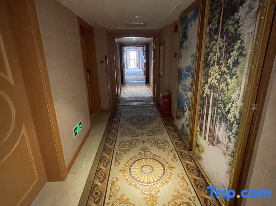Лешан: Vienna Hotel (Emei Mountain High Speed Railway Station)