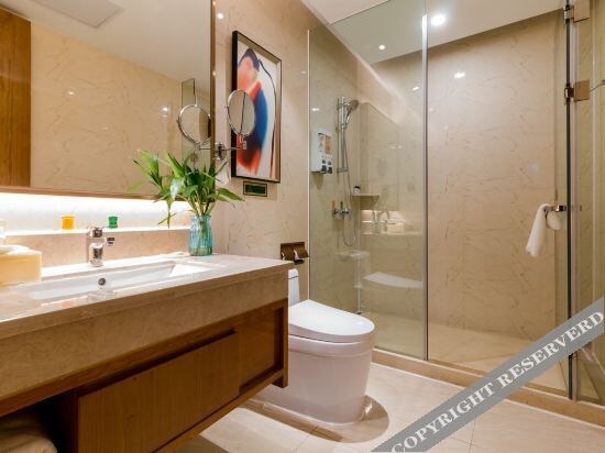 Синьюй: Vienna Hotel International (Xinyu Municipal Government People's Square)