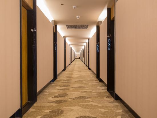 Begonia Inn — фото 1
