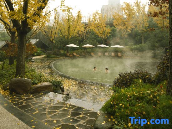 Чунцин: Chongqing Rongghui Up-Spring Alley Hotel