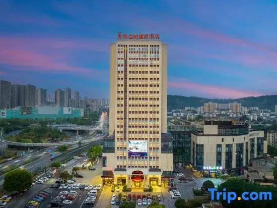 Чунцин: Vienna International Hotel (Chongqing Yijiaba)
