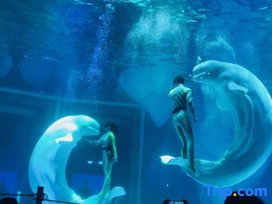 Шанхай: Yitel Premium (Shanghai Lingang Dishui Lake, Ocean Park)