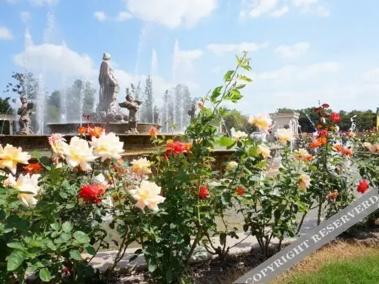 Шанхай: Rose Manor