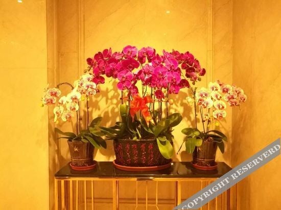 Ланьчжоу: Vienna International Hotel (Lanzhou Wanda Plaza)