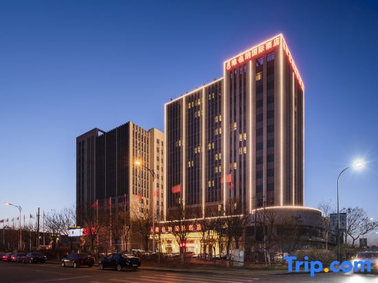 Vienna International Hotel (Tianjin Meijiang Convention and Exhibition Center) — фото 1