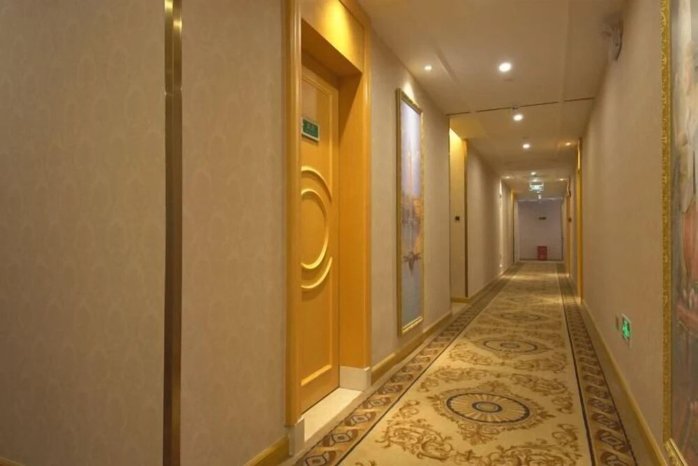Шаньвэй: Vienna Hotel (Luhe)