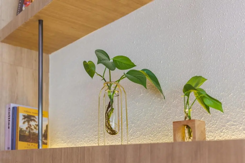 Гуанчжоу: Hanting Hotel Guangzhou Nancun Yuangang Metro Station