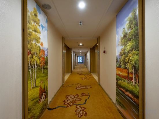 Ичунь: Vienna Hotel (Yichun High-speed Railway Station Wanda)