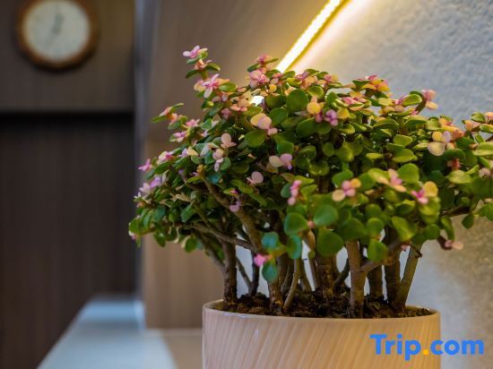 Тайюань: Hanting Hotel Taiyuan South Inner-ring Street