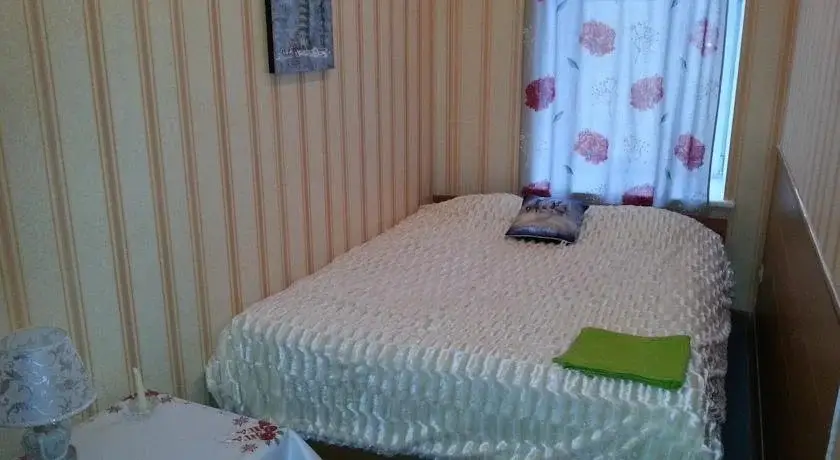 Санкт-Петербург: Hotel Viktoria