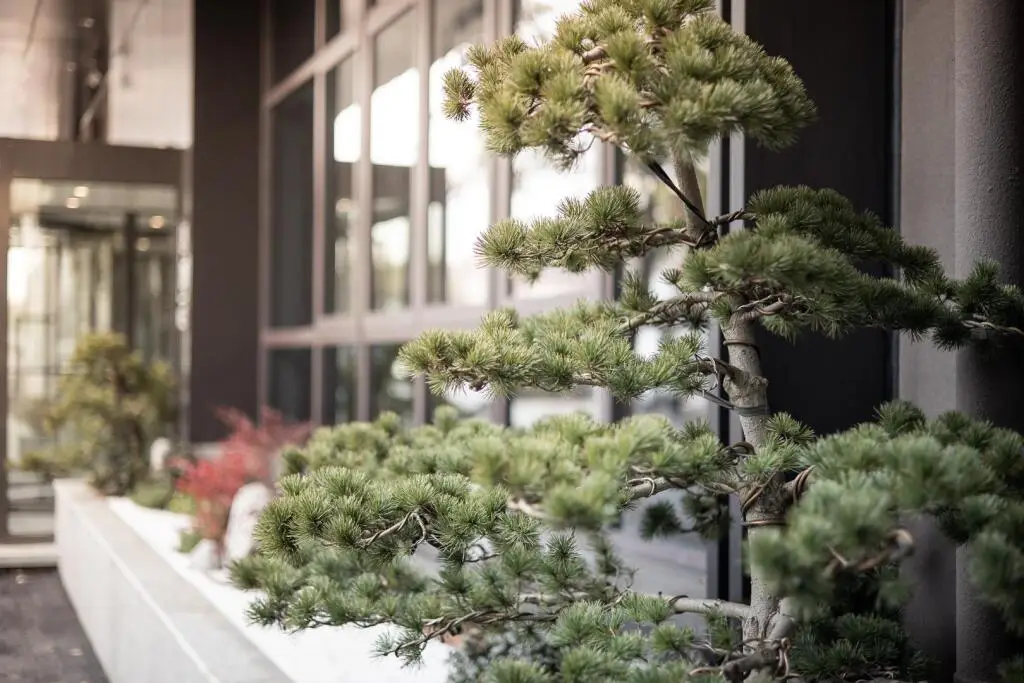 Тайчжоу: Ji Hotel Taizhou Old Street