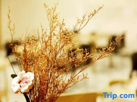 Харбин: Starway Hotel Harbin Guogeli Street Qiulin