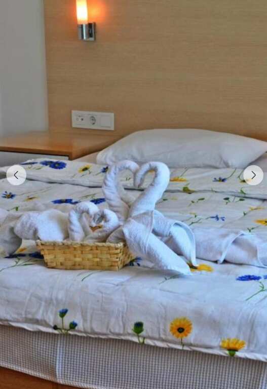 Стамбул: Linfer Otel
