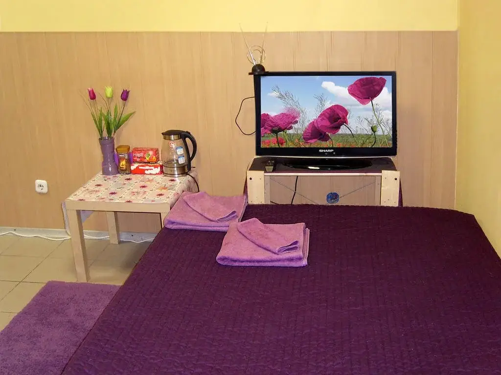 Санкт-Петербург: Mini-Hotel Palitra