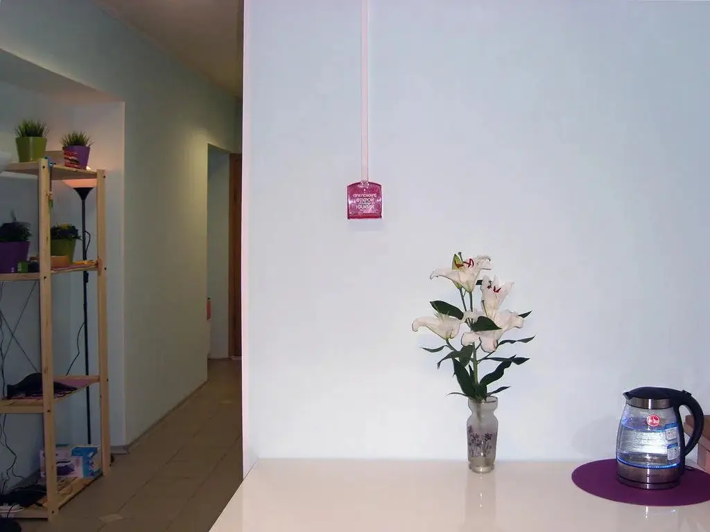 Санкт-Петербург: Mini-Hotel Palitra