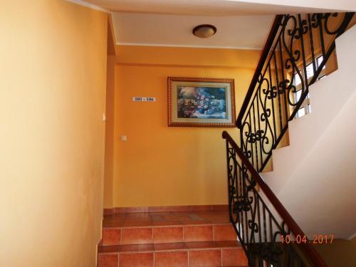 Зеленика: Guest House Villa Zivanovic