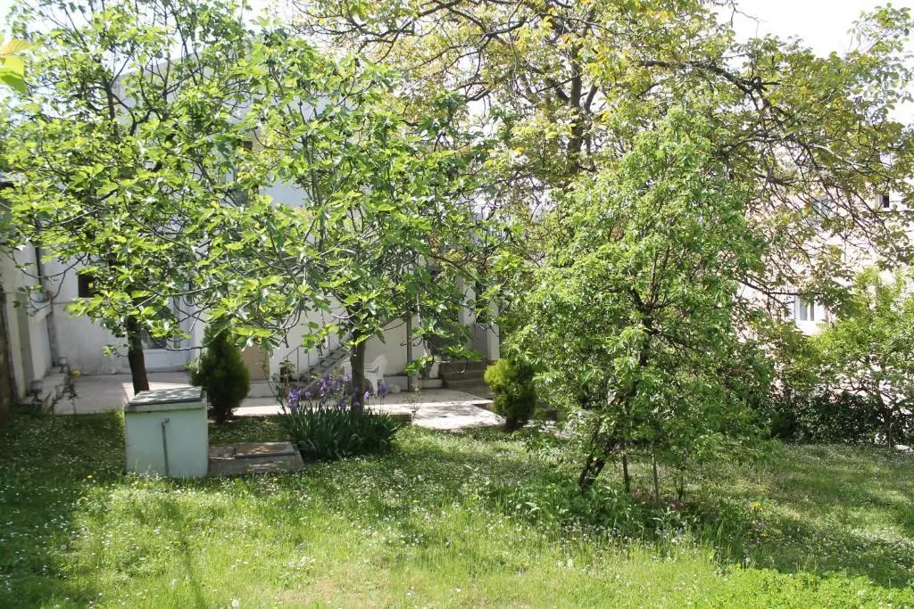 Бечичи: Guest House Vojinović