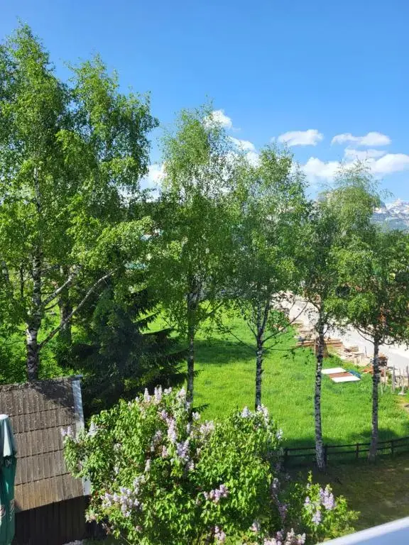 Жабляк: Apartments Zorić