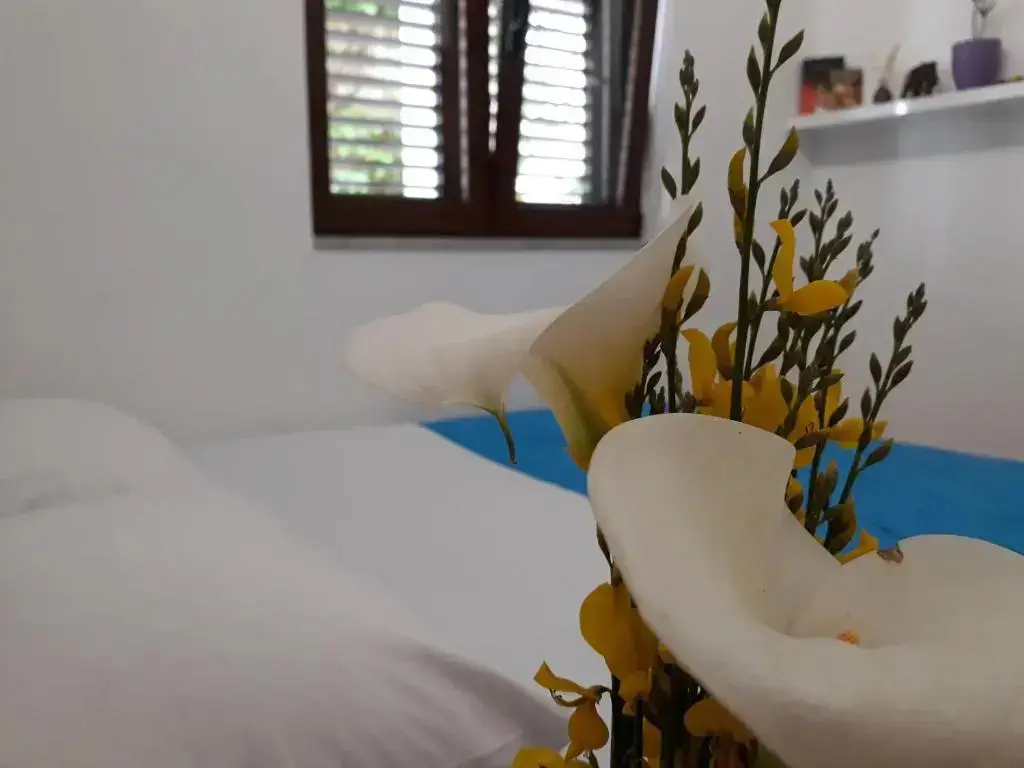Петровац: Apartments Ardura