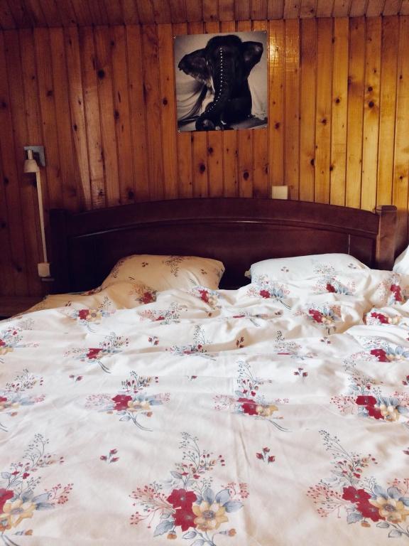 Жабляк: Apartmani Božana Vojinovic