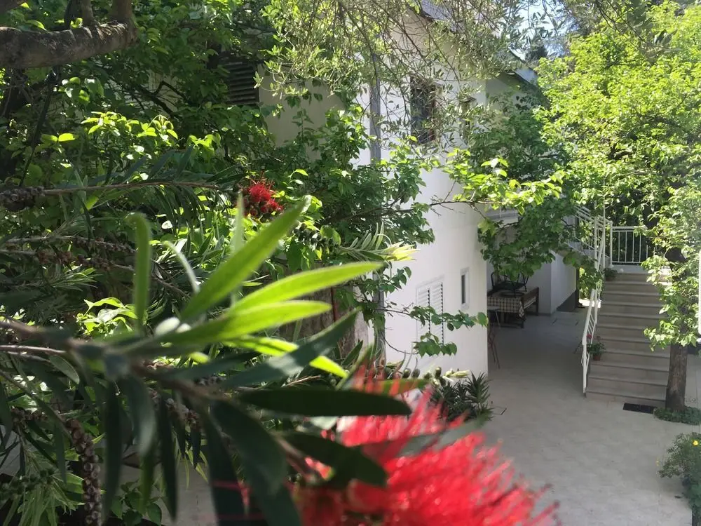 Херцег-Нови: Apartments Herceg Novi