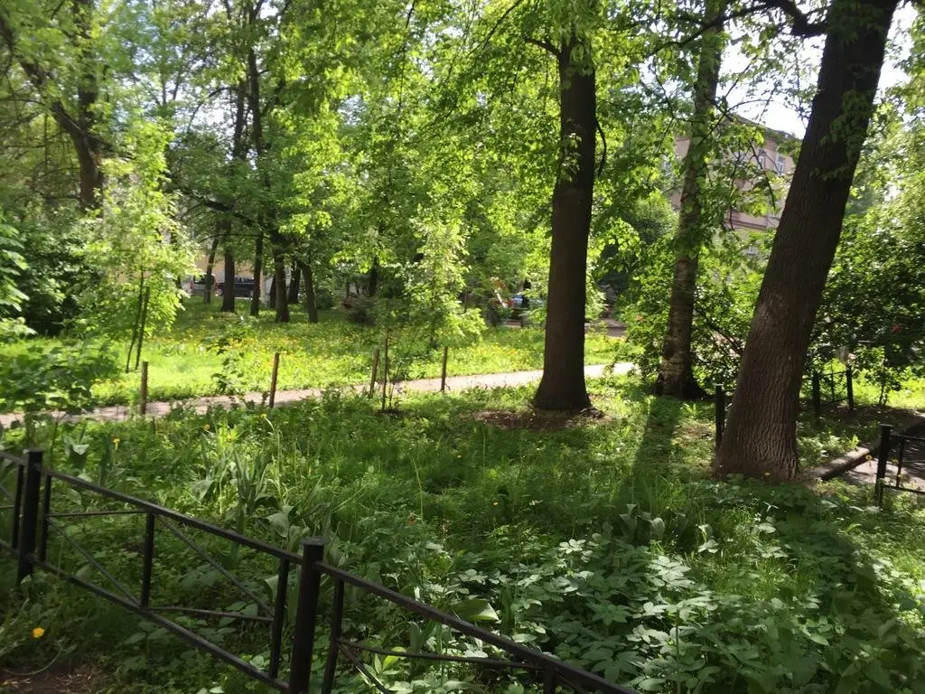 Санкт-Петербург: Savushkina 12 Apartment