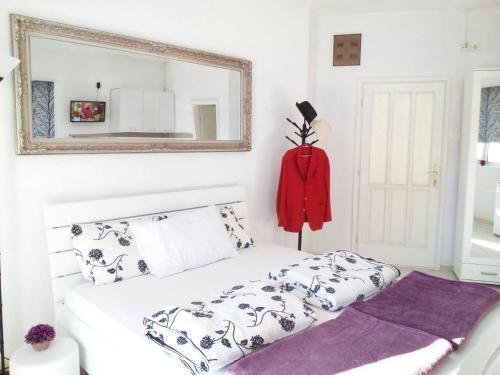 Херцег-Нови: Apartments Jadran