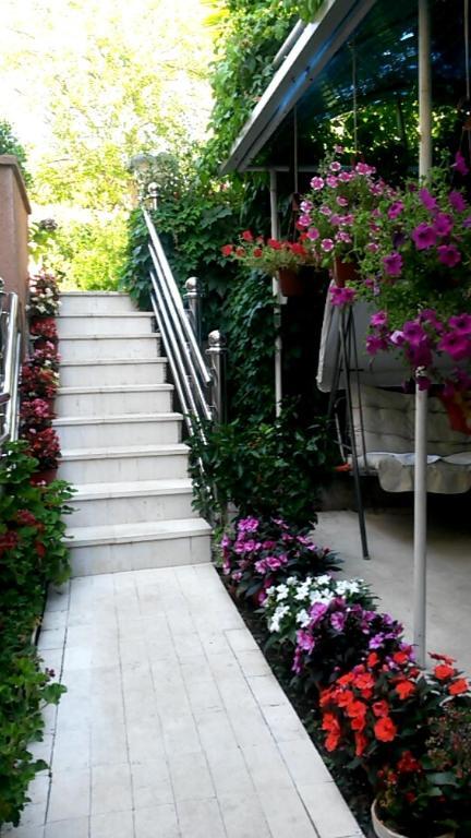 Ульцинь: Apartments Knežević