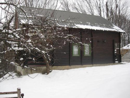 Колашин: Rooms Bumerang
