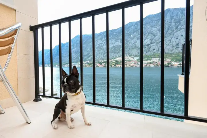 Доброта: Apartments Rozer