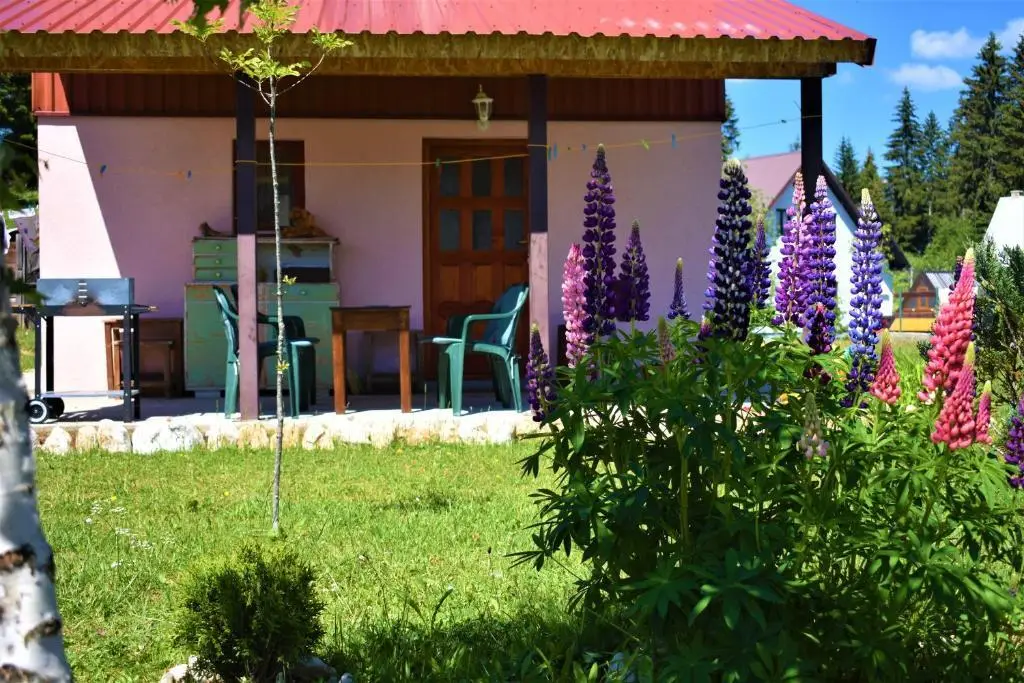 Жабляк: Šepić Accommodation
