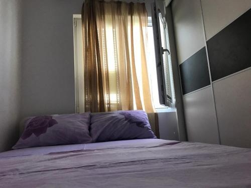 Тиват: Apartments Pavićević